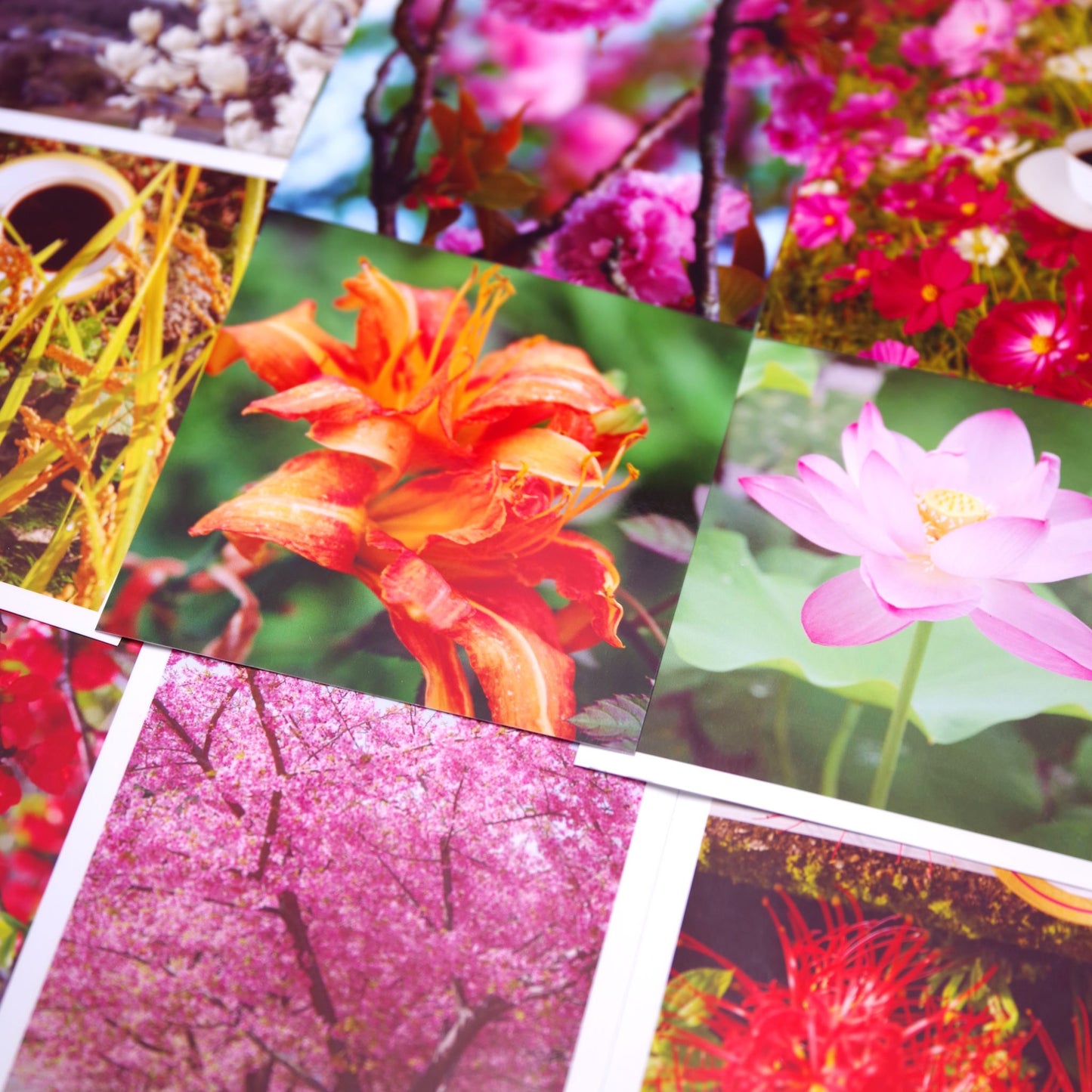 【ギフトセット】ドリップバッグ十個入 トブトリノ贈り物