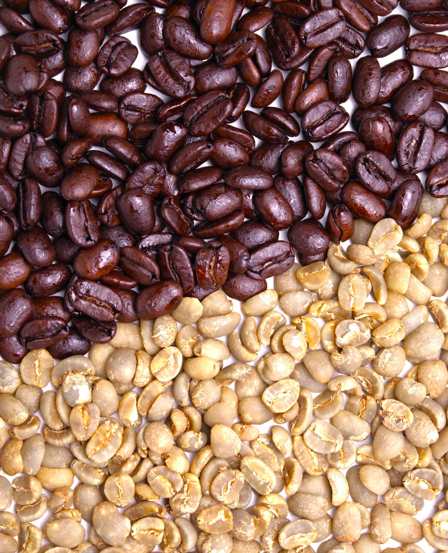 【量り売り】マンデリン深煎 一〇〇グラム