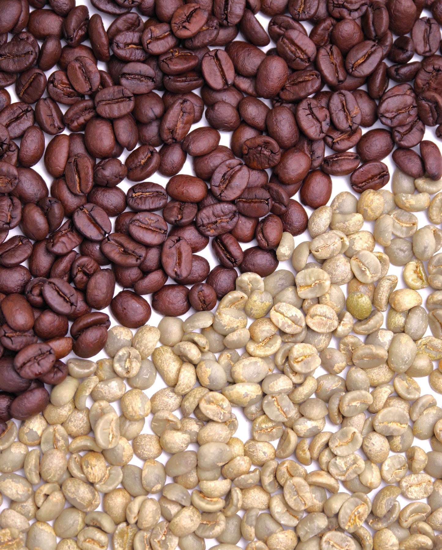 【量り売り】ブラジル中煎 一〇〇グラム